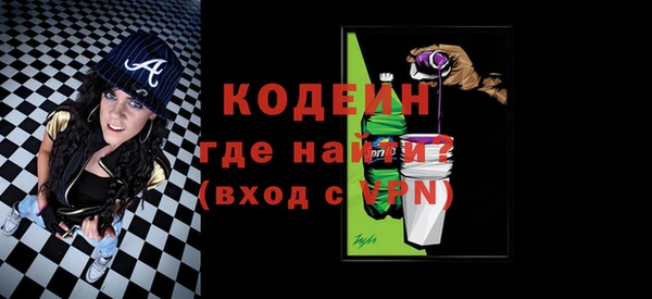 индика Елизово