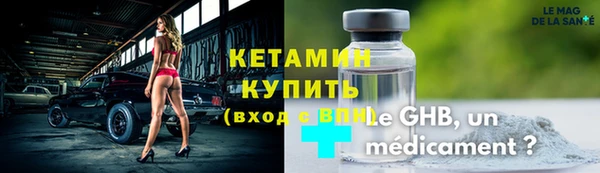 индика Елизово