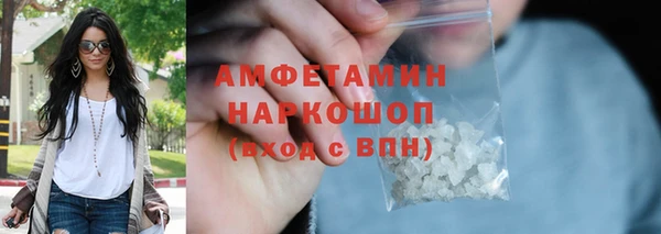 индика Елизово