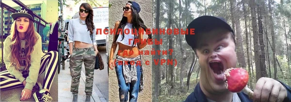 ГАЛЛЮЦИНОГЕННЫЕ ГРИБЫ Заволжск
