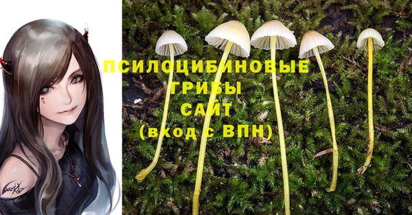 прущий лед Заволжье