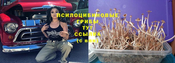 ГАЛЛЮЦИНОГЕННЫЕ ГРИБЫ Заволжск