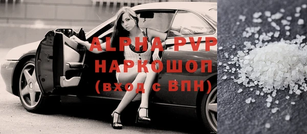 индика Елизово