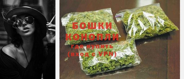 индика Елизово
