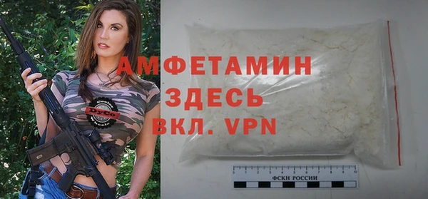 индика Елизово