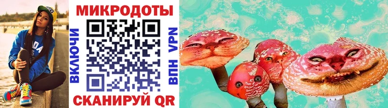 Купить где  Дмитров  Псилоцибиновые грибы мицелий 